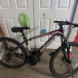 Teen Or Adult Size Bicycle