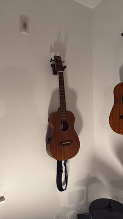 Acoustic/Electric Bass
