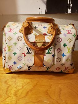 Authentic Louis Vuitton multicolored speedy