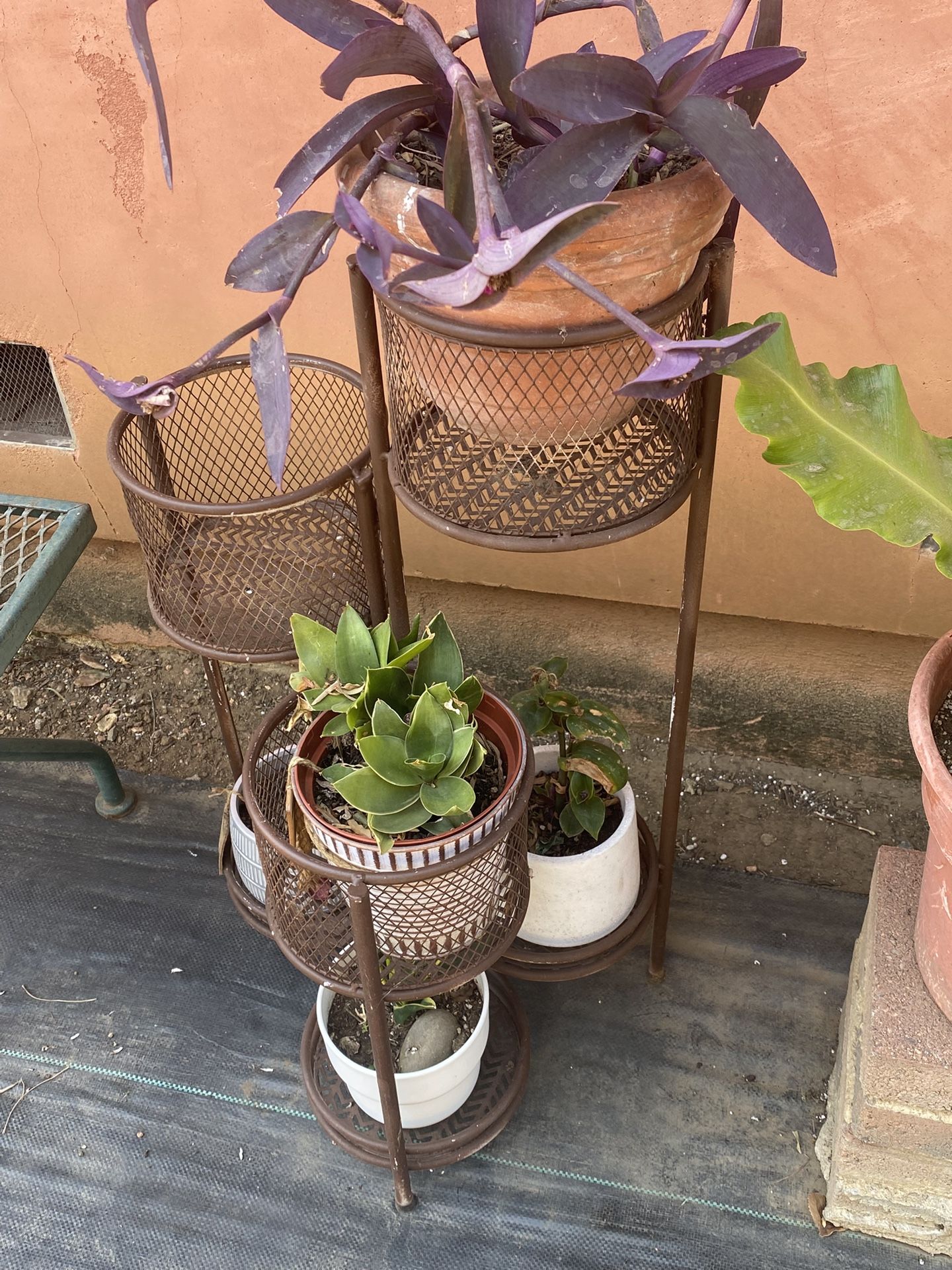 Plant Stand