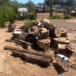 Free Firewood