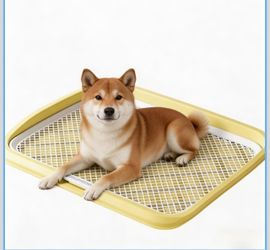 Indoor Dog Potty Training Tray