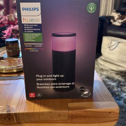 Philips Hue Pathway Light