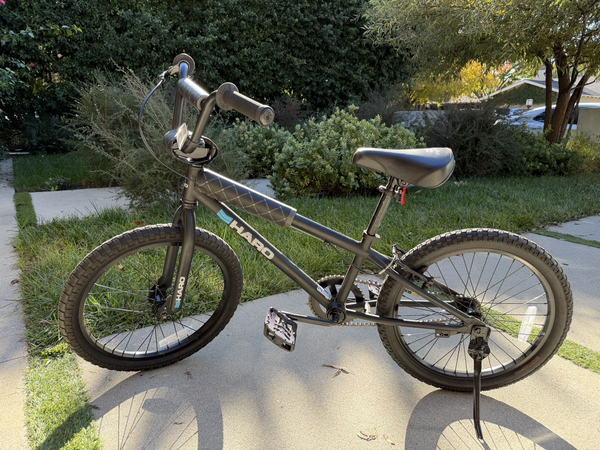 Haro Freestyle BMX Bike (New tires and Recently Serviced) 