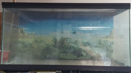 50 Gallon Aquarium L 36 X W 19 X 19 Inchies Deep