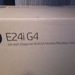 HP Computer Monitor (E24iG4)