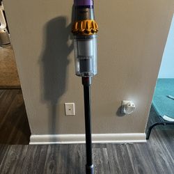 Dyson v15