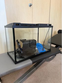 Fish Tank & Filter