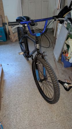 Mongoose Grudge