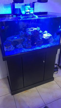 45 Gallons Fish Tank