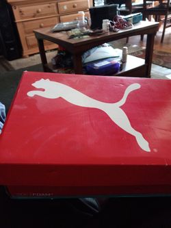 Pumas Shoes