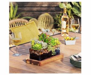 Threshold Medium Glass Terrarium with Wood Base Rectangular Natural Wood 10.83"x5.59"x4" - Threshol