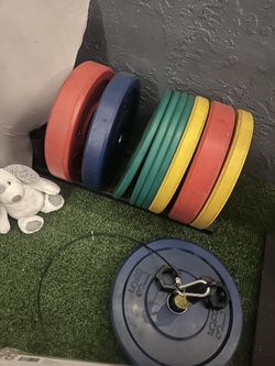 Bumper Plates Olympic