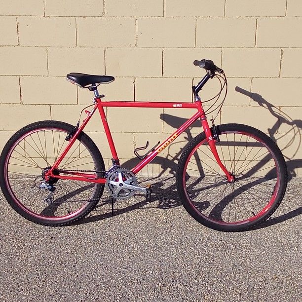 GIANT IGUANA VINTAGE ATB MTN BIKE REFURBISHED OBO