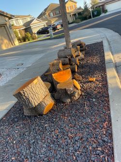 Free Fresh Cut Firewood Logs