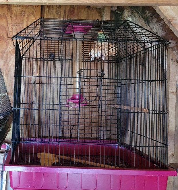 Large bird Cage With Accessories 