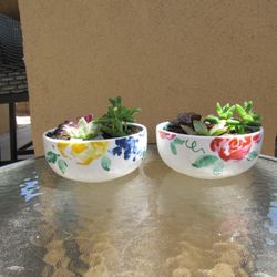 Set Of Flower Print Garden Pots With Succulents 