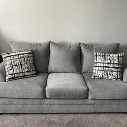2 Couches & 4 Pillows 