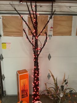 Lighten fall tree