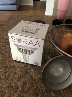 Soraa led light bulb par38