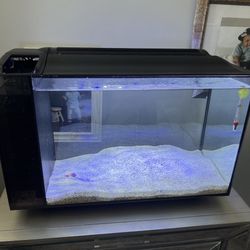 Fluval Tank 13.5 Gallons 
