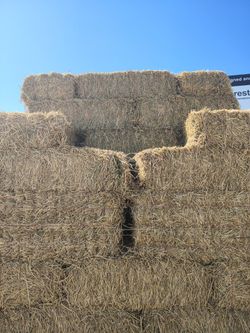 BALES OF ALFALFA FOR SALE
