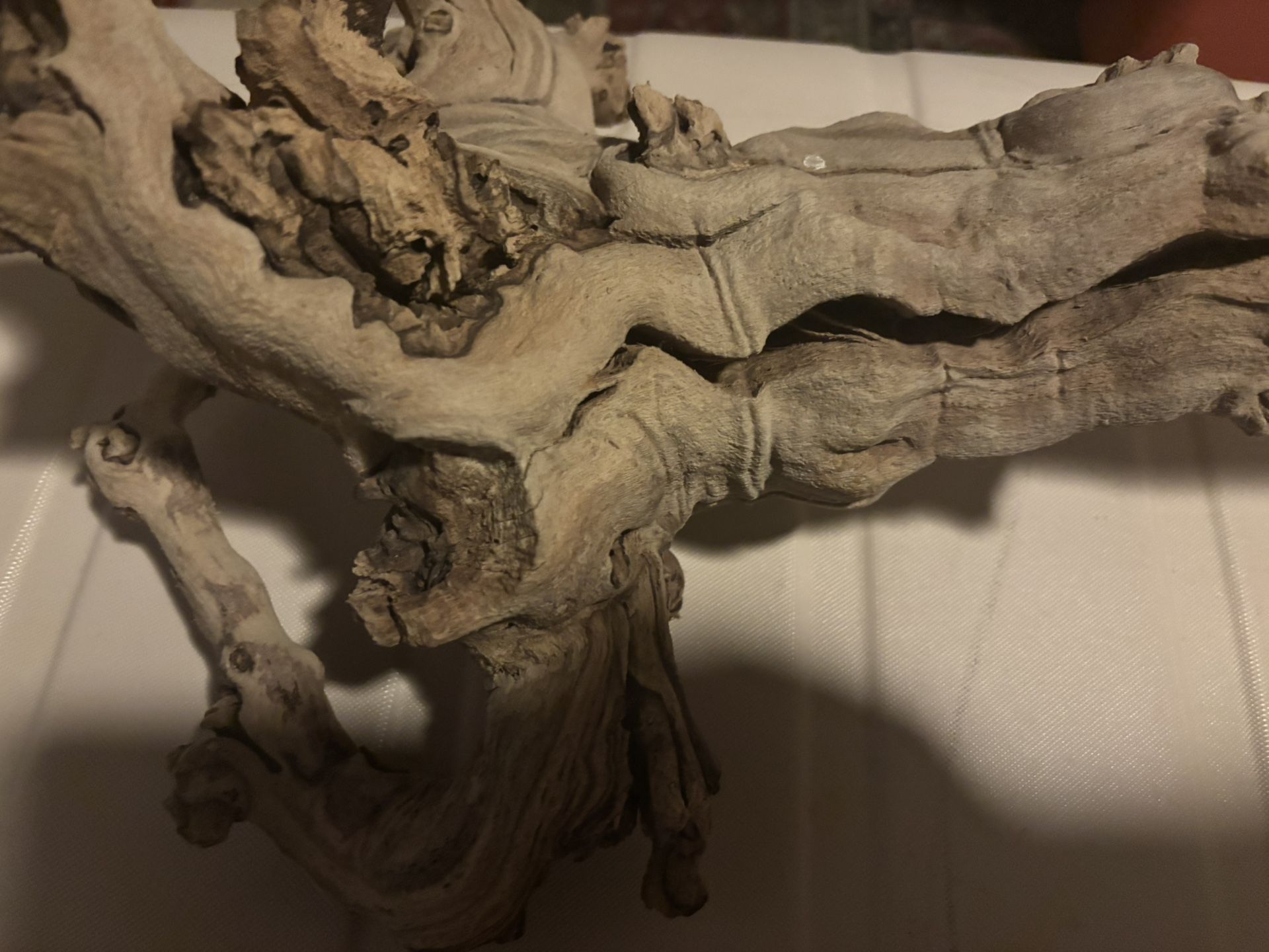 Unique Reptile Cage Wood Piece - New