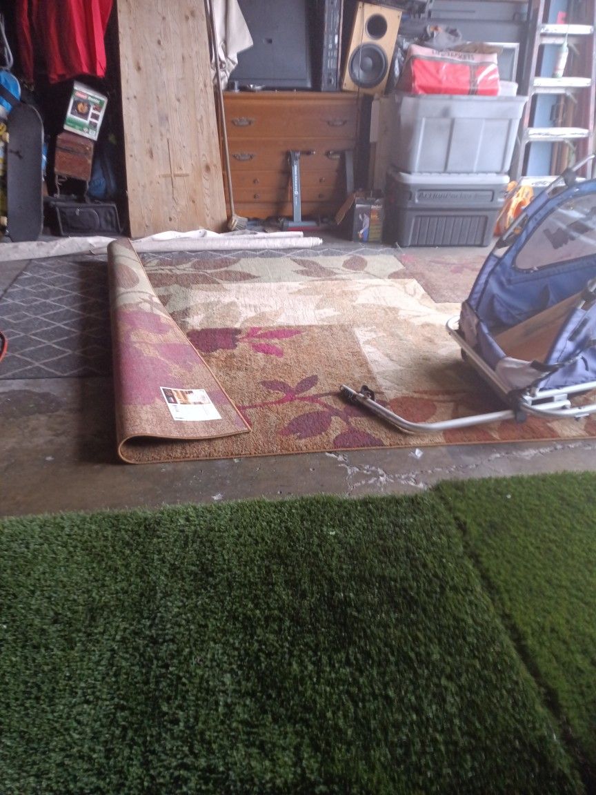 Area Rug