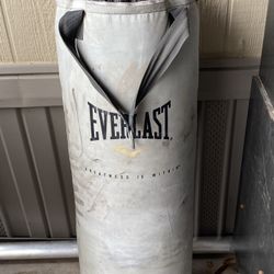 Everlast Punching Bag