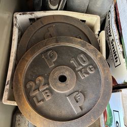 22 LB Weight Plates for Home Gym