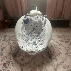 FREE Bassinet & Baby Seat