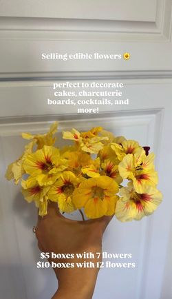 Edible Flowers