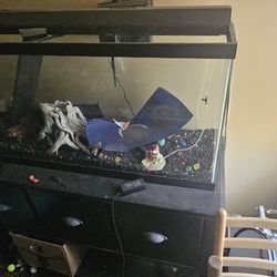 300 Gallon Fish Tank