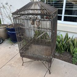 Bird Cage 
