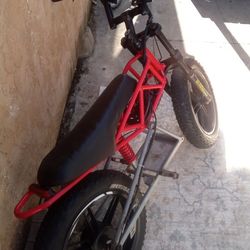 Costume E Bike
