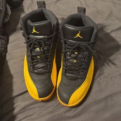 Black N Yellow Jordan 12 