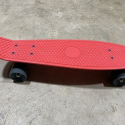 Skateboard 22.5” (like New)