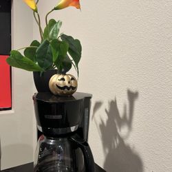 Coffee Maker & Toaster Oven 