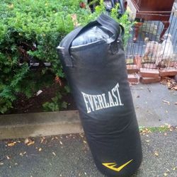 Like New Ever Last Punching Bag With Stand 