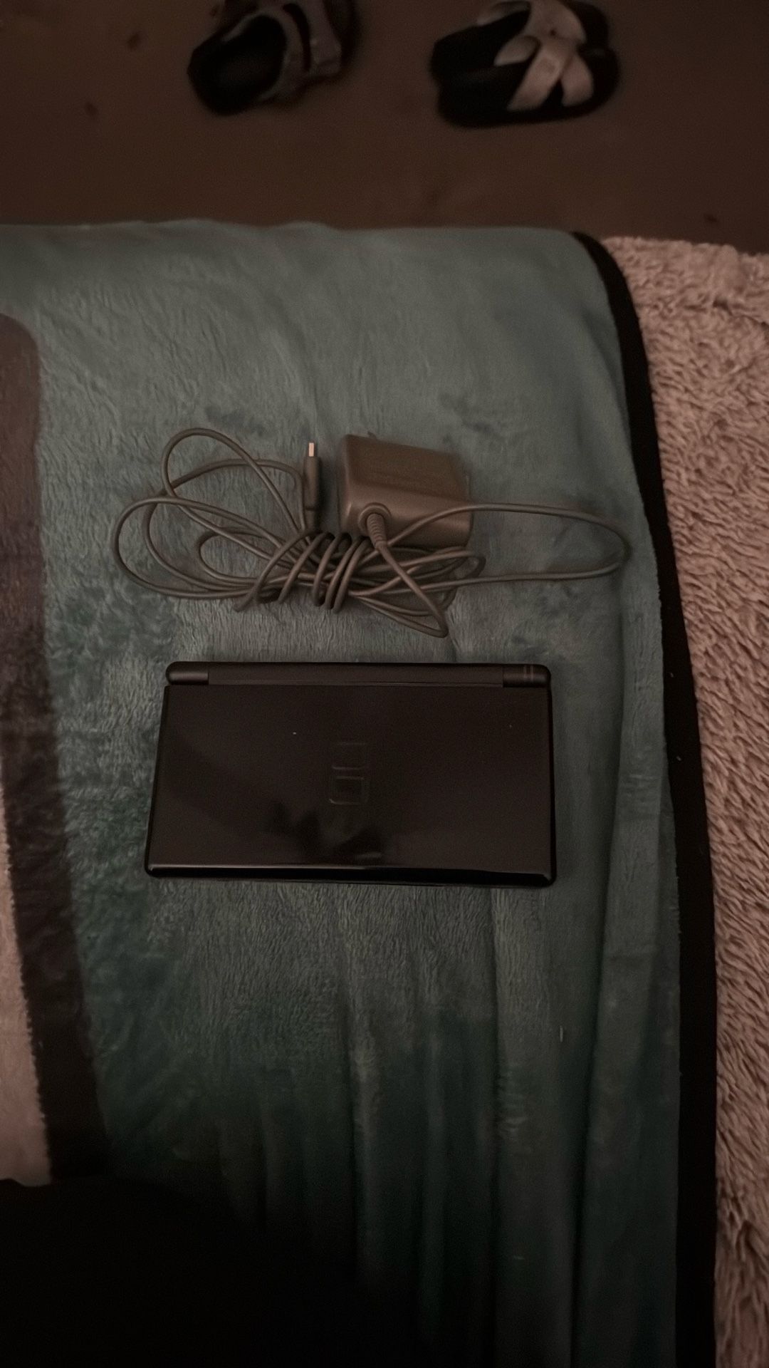 Nintendo Ds With Charger