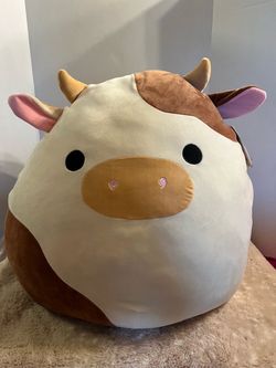 Ronnie Squishmallow