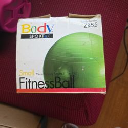 Fitness Exercise Ball