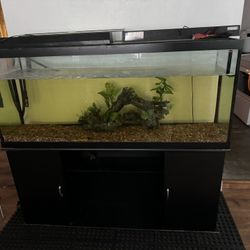 120 Gallon Tank