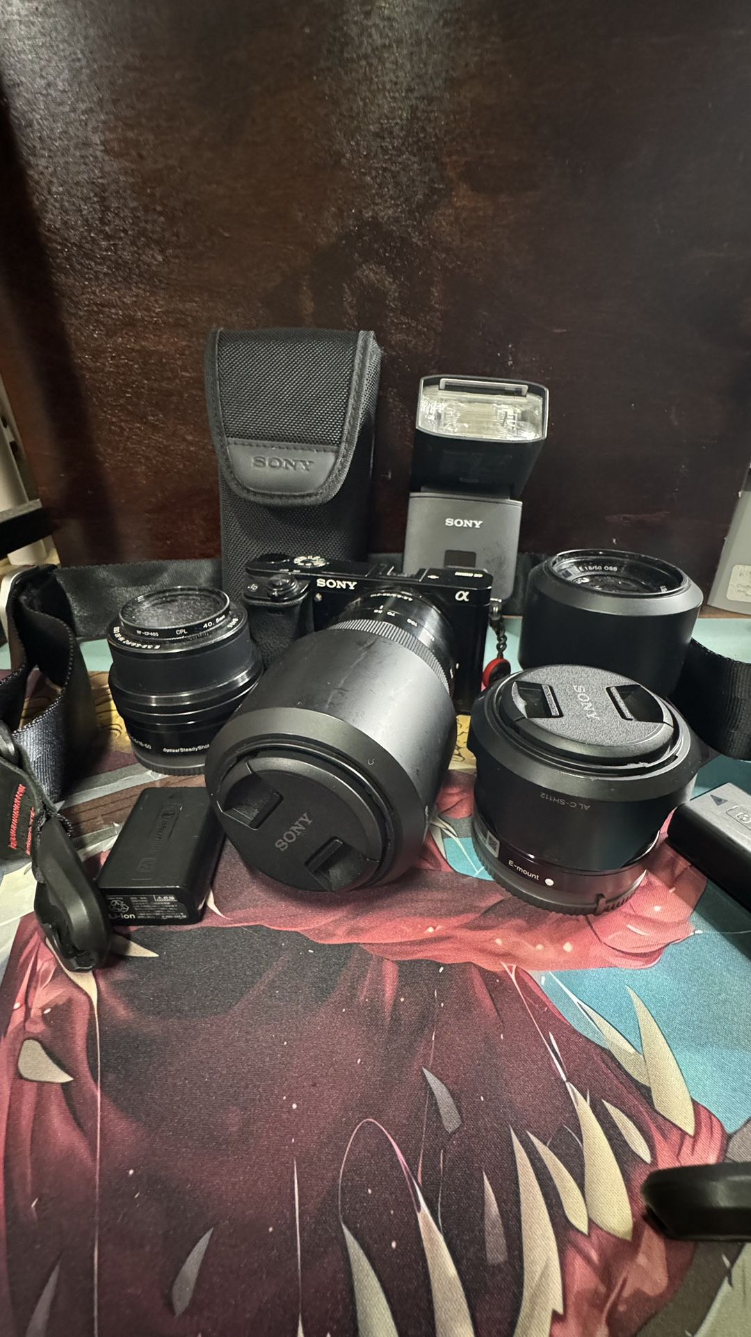 Sony A6000 + Lenses, External Flash, And Carrying Bag