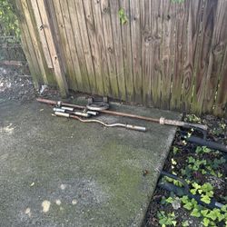 Curl Bars