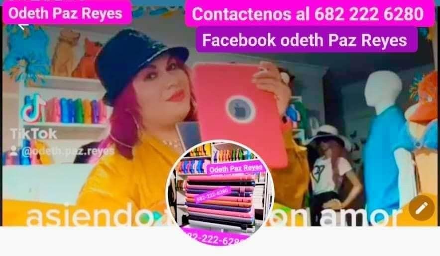 Ipad Cargadores Y Protectores Incluido $75. Warranty De 30 Dias