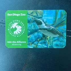  San Diego Zoo/Safari