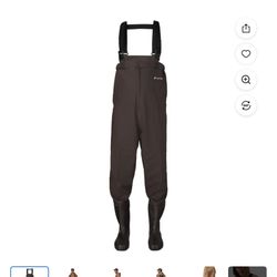 Waders 