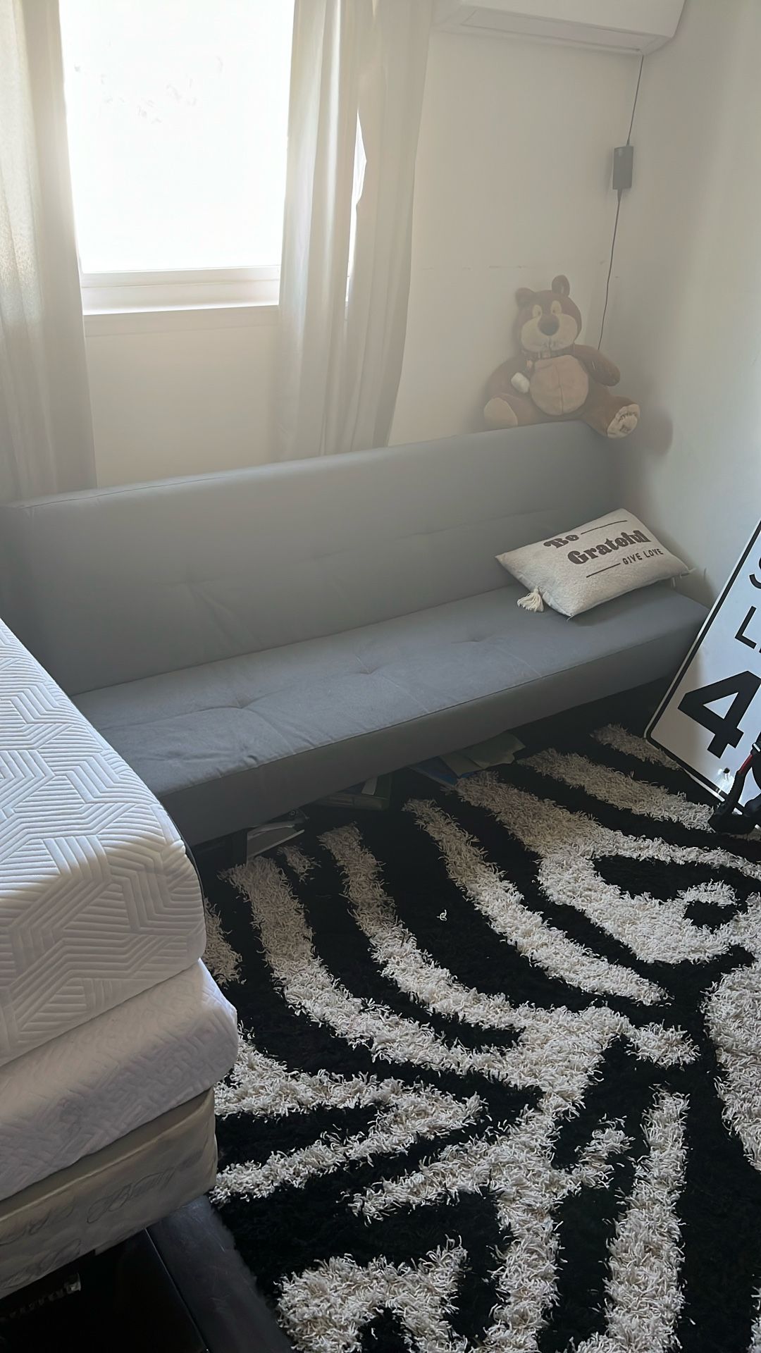 Futon Couch