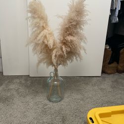 Pampas And Vase